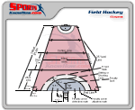 Field-hockey-field-diagram