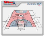 basketball-high-school-court-dimensions-diagram