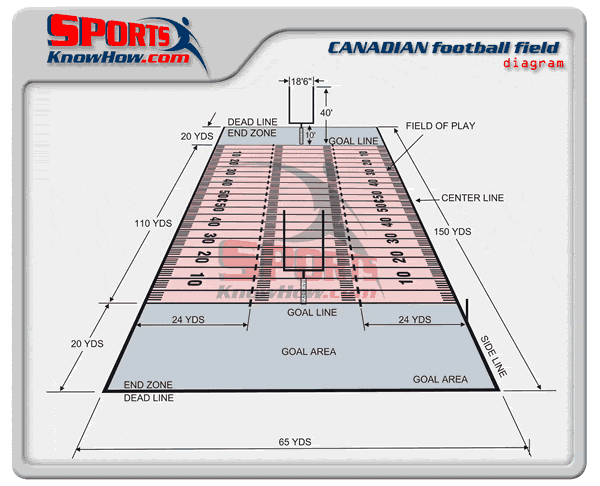 Canadian Cfl Football Field Dimensions Diagram Court Field Dimension Diagrams In 3d History Rules Sportsknowhow Com