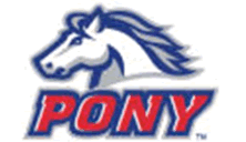 softball-pony